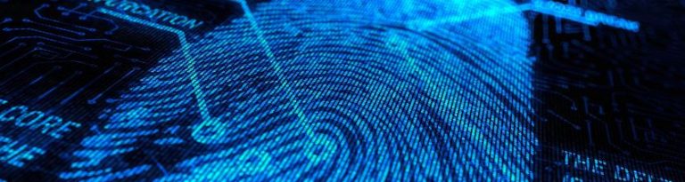 fingerprint